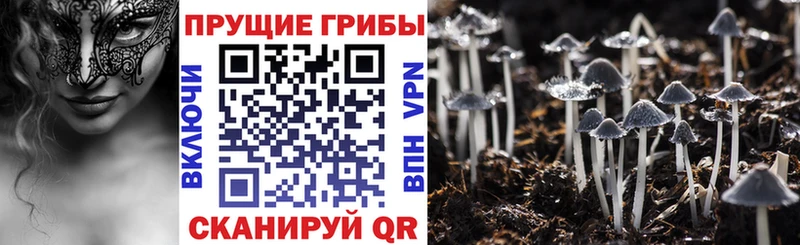 Псилоцибиновые грибы прущие грибы наркошоп Щёкино